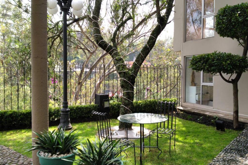 Hermoso Departamento En Bosques De Las Lomas Dos Habitaciones Ciudad de México Exteriér fotografie